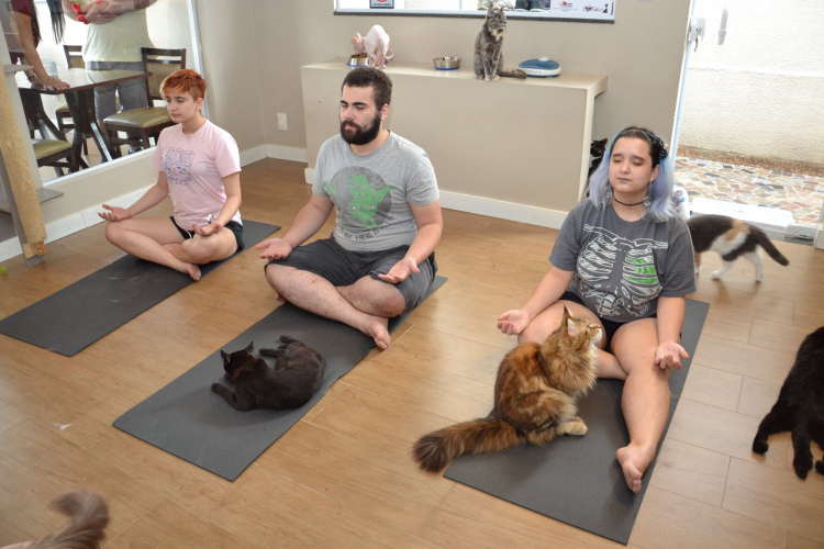 pessoas fazendo yoga