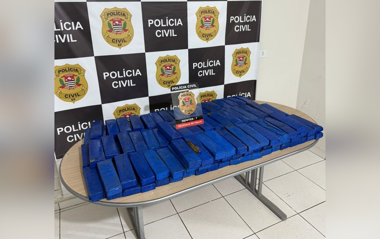 A Polícia Civil apreendeu 94 quilos de maconha no Distrito Industrial em Piraju (SP) — Foto: Reprodução/Polícia Civil